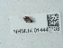 ( - NHMUK014440703)  @11 [ ] Unspecified (default): All Rights Reserved  Unspecified Unspecified