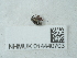  ( - NHMUK014440703)  @11 [ ] Unspecified (default): All Rights Reserved  Unspecified Unspecified