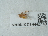  ( - NHMUK014440749)  @11 [ ] Unspecified (default): All Rights Reserved  Unspecified Unspecified