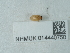  ( - NHMUK014440750)  @11 [ ] Unspecified (default): All Rights Reserved  Unspecified Unspecified