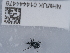  ( - NHMUK014444476)  @11 [ ] Unspecified (default): All Rights Reserved  Unspecified Unspecified