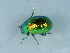  ( - NHMUK014444579)  @11 [ ] Unspecified (default): All Rights Reserved  Unspecified Unspecified