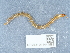  ( - NHMUK014444581)  @11 [ ] Unspecified (default): All Rights Reserved  Unspecified Unspecified