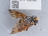  ( - NHMUK014444614)  @11 [ ] Unspecified (default): All Rights Reserved  Unspecified Unspecified