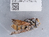  ( - NHMUK014444614)  @11 [ ] Unspecified (default): All Rights Reserved  Unspecified Unspecified