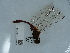  ( - NHMUK014444679)  @11 [ ] Unspecified (default): All Rights Reserved  Unspecified Unspecified