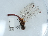  ( - NHMUK014444679)  @11 [ ] Unspecified (default): All Rights Reserved  Unspecified Unspecified
