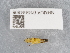  ( - NHMUK014444806)  @11 [ ] Unspecified (default): All Rights Reserved  Unspecified Unspecified
