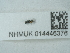  ( - NHMUK014446376)  @11 [ ] Unspecified (default): All Rights Reserved  Unspecified Unspecified