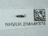  ( - NHMUK014446378)  @11 [ ] Unspecified (default): All Rights Reserved  Unspecified Unspecified