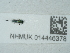  ( - NHMUK014446378)  @11 [ ] Unspecified (default): All Rights Reserved  Unspecified Unspecified