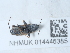  ( - NHMUK014446385)  @11 [ ] Unspecified (default): All Rights Reserved  Unspecified Unspecified