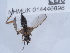  ( - NHMUK014446898)  @11 [ ] Unspecified (default): All Rights Reserved  Unspecified Unspecified