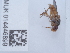  ( - NHMUK014446899)  @11 [ ] Unspecified (default): All Rights Reserved  Unspecified Unspecified