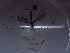  ( - NHMUK014446901)  @11 [ ] Unspecified (default): All Rights Reserved  Unspecified Unspecified
