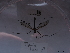  ( - NHMUK014446901)  @11 [ ] Unspecified (default): All Rights Reserved  Unspecified Unspecified
