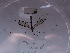  ( - NHMUK014446901)  @11 [ ] Unspecified (default): All Rights Reserved  Unspecified Unspecified