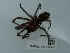  ( - NHMUK014447009)  @11 [ ] Unspecified (default): All Rights Reserved  Unspecified Unspecified