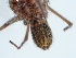  ( - NHMUK014447009)  @11 [ ] Unspecified (default): All Rights Reserved  Unspecified Unspecified