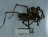  ( - NHMUK014447020)  @11 [ ] Unspecified (default): All Rights Reserved  Unspecified Unspecified