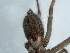  ( - NHMUK014447020)  @11 [ ] Unspecified (default): All Rights Reserved  Unspecified Unspecified
