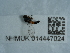  ( - NHMUK014447024)  @11 [ ] Unspecified (default): All Rights Reserved  Unspecified Unspecified