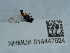  ( - NHMUK014447024)  @11 [ ] Unspecified (default): All Rights Reserved  Unspecified Unspecified