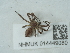  ( - NHMUK014449080)  @11 [ ] Unspecified (default): All Rights Reserved  Unspecified Unspecified