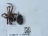  ( - NHMUK014452282)  @11 [ ] Unspecified (default): All Rights Reserved  Unspecified Unspecified