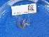  ( - NHMUK014453313)  @11 [ ] Unspecified (default): All Rights Reserved  Unspecified Unspecified