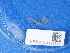  ( - NHMUK014453314)  @11 [ ] Unspecified (default): All Rights Reserved  Unspecified Unspecified