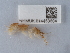  ( - NHMUK014453604)  @11 [ ] Unspecified (default): All Rights Reserved  Unspecified Unspecified