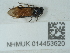  ( - NHMUK014453620)  @11 [ ] Unspecified (default): All Rights Reserved  Unspecified Unspecified