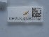  ( - NHMUK014536780)  @11 [ ] Unspecified (default): All Rights Reserved  Unspecified Unspecified
