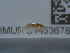  ( - NHMUK014536780)  @11 [ ] Unspecified (default): All Rights Reserved  Unspecified Unspecified