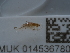  ( - NHMUK014536780)  @11 [ ] Unspecified (default): All Rights Reserved  Unspecified Unspecified