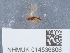  ( - NHMUK014536806)  @11 [ ] Unspecified (default): All Rights Reserved  Unspecified Unspecified