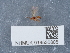  ( - NHMUK014536806)  @11 [ ] Unspecified (default): All Rights Reserved  Unspecified Unspecified