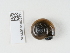  ( - NHMUK014536935)  @11 [ ] Unspecified (default): All Rights Reserved  Unspecified Unspecified