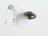  (Oxychilus navarricus - NHMUK014536935)  @11 [ ] Unspecified (default): All Rights Reserved  Unspecified Unspecified