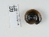  ( - NHMUK014536935)  @11 [ ] Unspecified (default): All Rights Reserved  Unspecified Unspecified