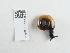  ( - NHMUK014536936)  @11 [ ] Unspecified (default): All Rights Reserved  Unspecified Unspecified