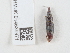  ( - NHMUK014536971)  @11 [ ] Unspecified (default): All Rights Reserved  Unspecified Unspecified