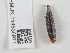  ( - NHMUK014536971)  @11 [ ] Unspecified (default): All Rights Reserved  Unspecified Unspecified