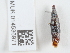  ( - NHMUK014536971)  @11 [ ] Unspecified (default): All Rights Reserved  Unspecified Unspecified