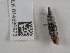  ( - NHMUK014536973)  @11 [ ] Unspecified (default): All Rights Reserved  Unspecified Unspecified