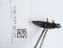 ( - NHMUK014537056)  @11 [ ] Unspecified (default): All Rights Reserved  Unspecified Unspecified