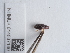  ( - NHMUK014537140)  @11 [ ] Unspecified (default): All Rights Reserved  Unspecified Unspecified
