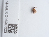  ( - NHMUK014537308)  @11 [ ] Unspecified (default): All Rights Reserved  Unspecified Unspecified