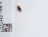  ( - NHMUK014537308)  @11 [ ] Unspecified (default): All Rights Reserved  Unspecified Unspecified